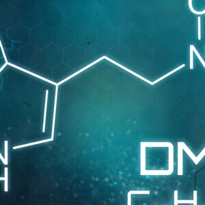 DMT (N,N-Dimethyltryptamine)