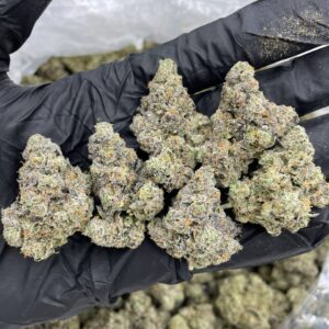 Buy Ghost Strain Haze Cannabis Online