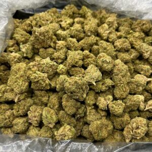 buy Girl Scout Cookies cannabis strain online