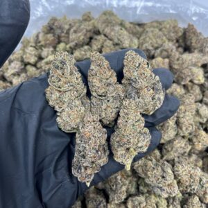 buy kosher kush cannabis strain online