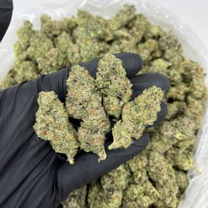 buy Grease Monkey cannabis strain online