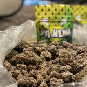 buy banana og cannabis strain online